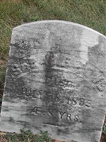 Sarah F. Howe Sarah F. Howe