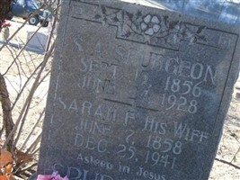 Sarah F Spurgeon Sarah F Spurgeon
