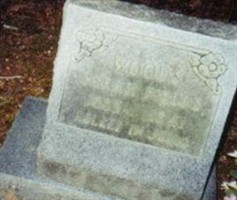 Sarah Fields Woods