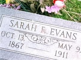 Sarah Florence Upchurch Evans
