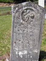 Sarah Frances Calfee Boggess