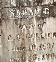 Sarah G. Collier Sarah G. Collier
