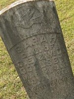 Sarah Goolsby