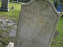 Sarah H Ambrose