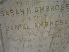 Sarah H Ambrose