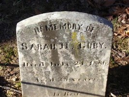 Sarah H Luby