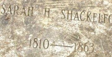 Sarah H Shackelford Sarah H Shackelford