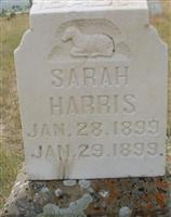 Sarah Harris