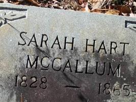 Sarah Hart McCallum