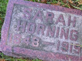Sarah Horning Sarah Horning