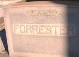 Sarah I Forrester