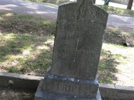 Sarah Ida Ramsey Trice