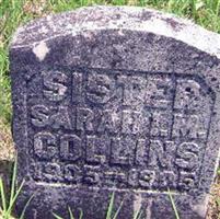 Sarah I.M. Collins