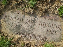 Sarah J Atchison