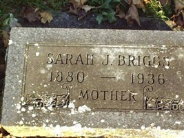 Sarah J Burgess Briggs