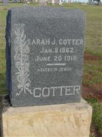 Sarah J Cotter Sarah J Cotter