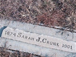 Sarah J. Cronk Sarah J. Cronk