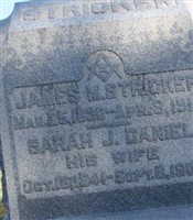 Sarah J Daniel Stricker