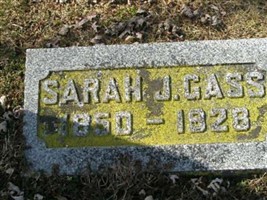 Sarah J Gass