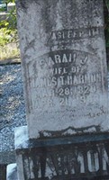 Sarah J. Harmon
