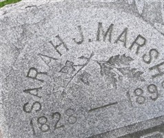 Sarah J Marsh Sarah J Marsh