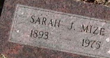 Sarah J Mize