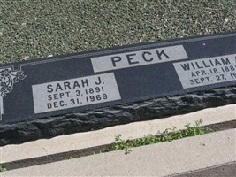 Sarah J Peck