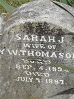 Sarah J Thomason