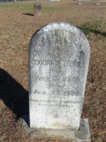 Sarah J Trice Terrill