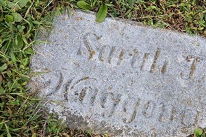 Sarah J Waggoner