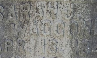 Sarah J Waggoner