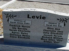 Sarah James Flake Levie