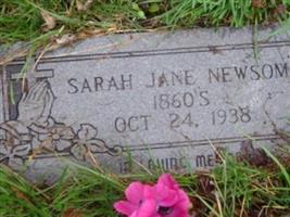 Sarah Jane Akers Newsome