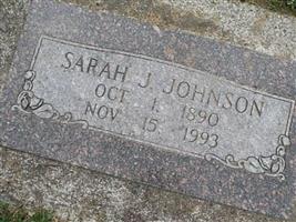 Sarah Jane Allen Johnson