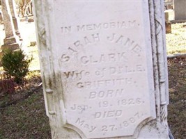 Sarah Jane Clark Griffith (2379552.jpg)