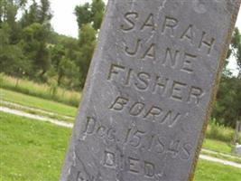 Sarah Jane Fisher