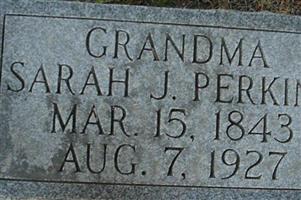 Sarah Jane George Perkins
