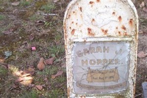 Sarah Jane Hopper Sarah Jane Hopper