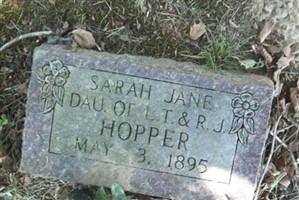 Sarah Jane Hopper Sarah Jane Hopper