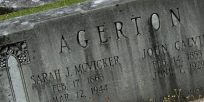 Sarah Jane McVicker Agerton Sarah Jane McVicker Agerton