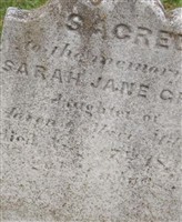 Sarah Jane Miller Cray