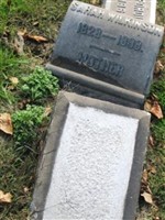 Sarah Jane Wilkinson