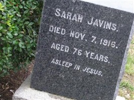 Sarah Javins Sarah Javins