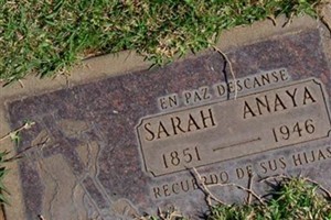 Sarah Jose Anaya