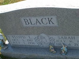 Sarah L. Black Sarah L. Black