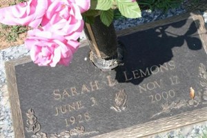 Sarah L Lemons