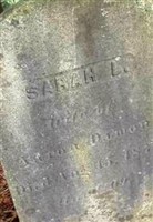 Sarah L. Leonard Damon Sarah L. Leonard Damon