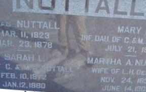 Sarah L Nuttall