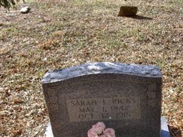 Sarah L. Ricks Sarah L. Ricks