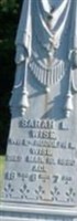 Sarah L Wise